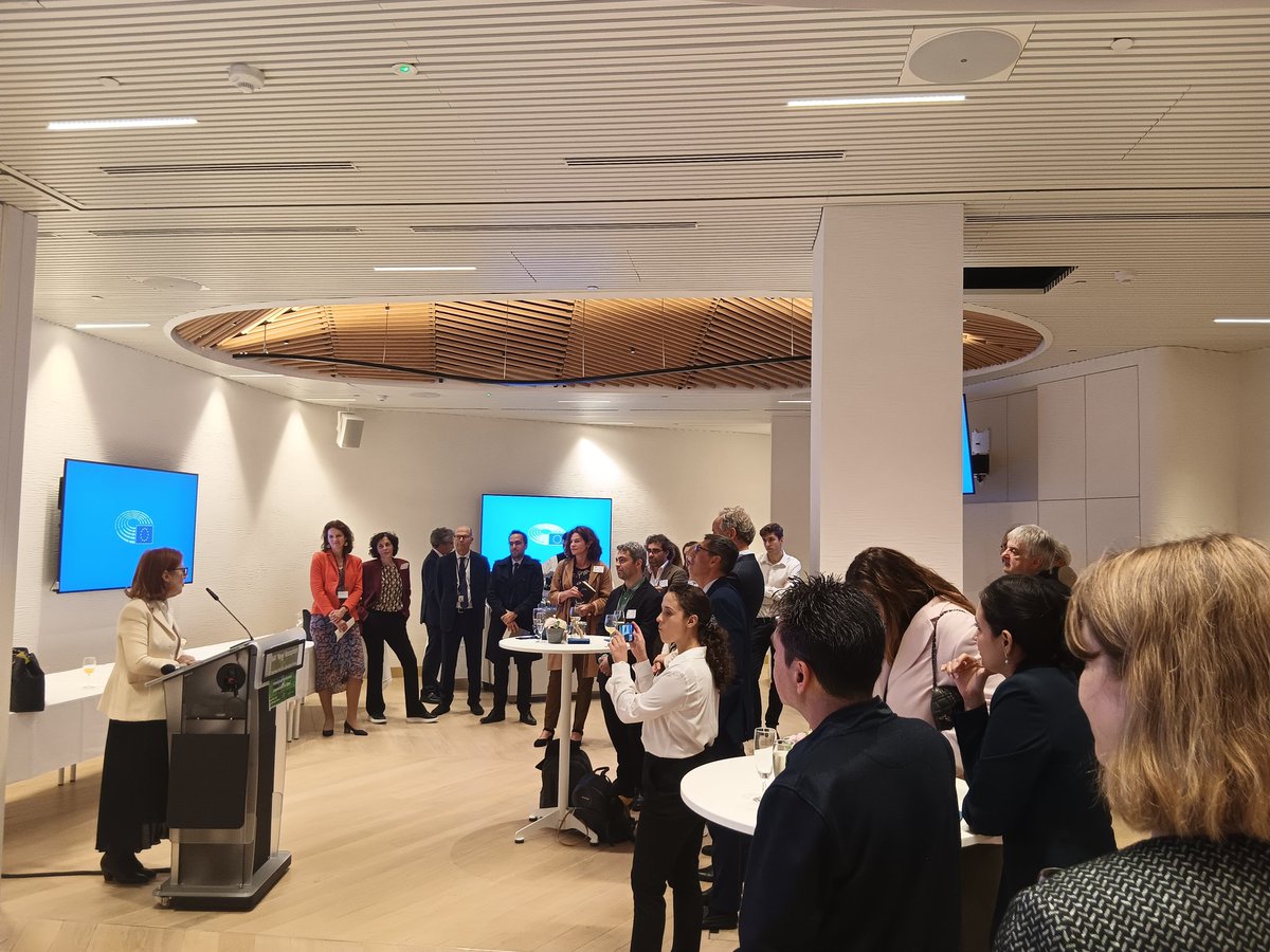 Maria Graça Carvalho tweet media