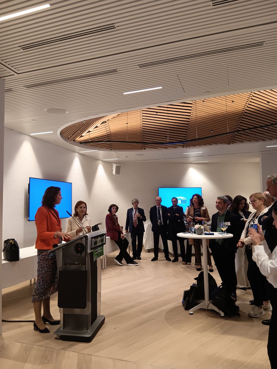 Maria Graça Carvalho tweet media