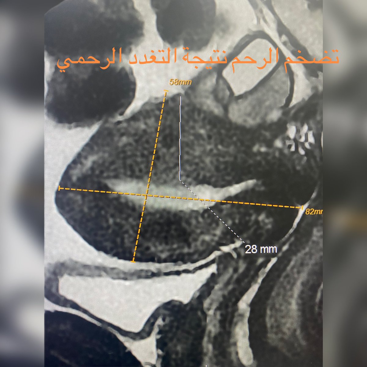 Dr.Raad Madkhali د.رعد هادي مدخلي tweet media
