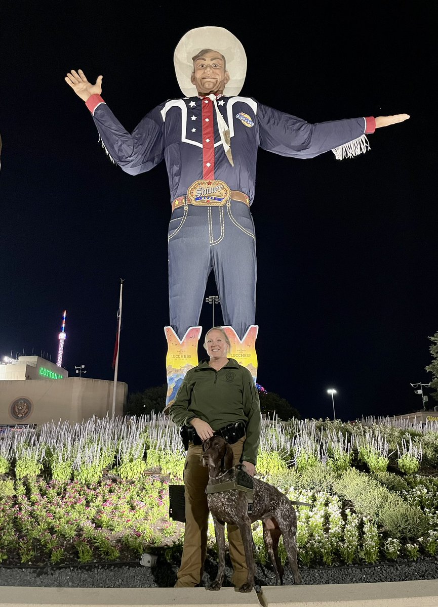 K9Apollo tweet media