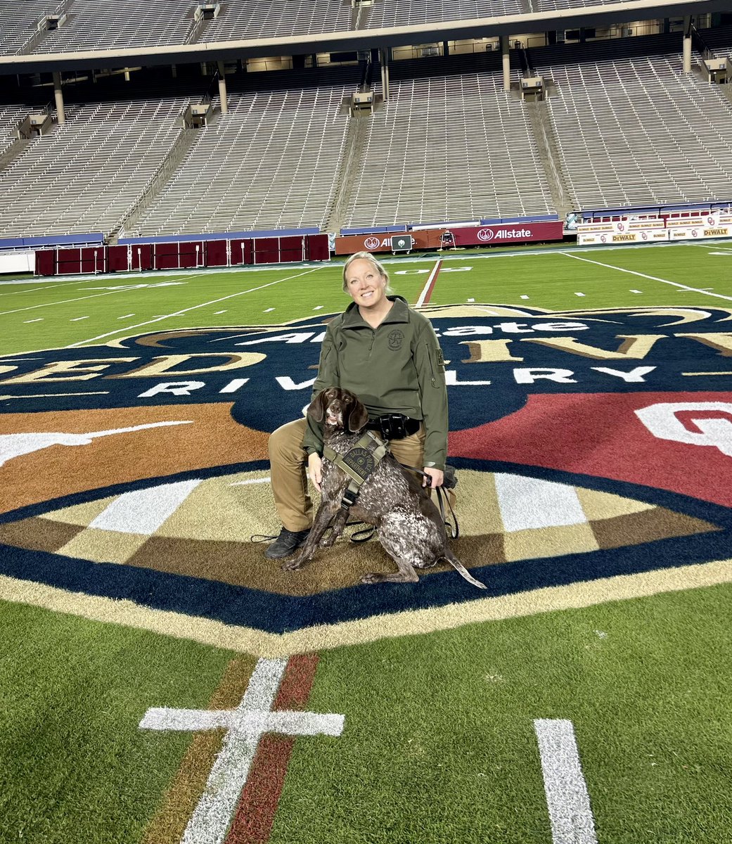 K9Apollo tweet media