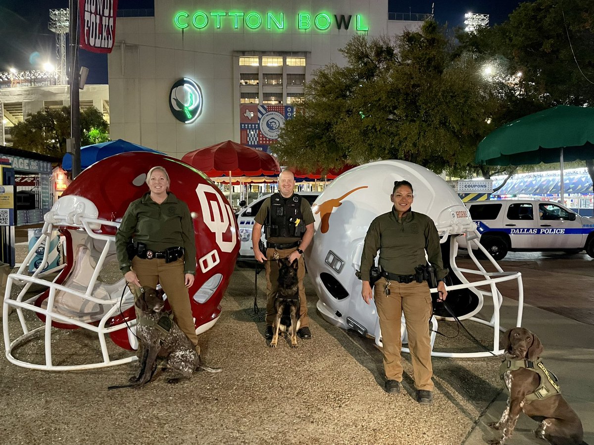 K9Apollo tweet media