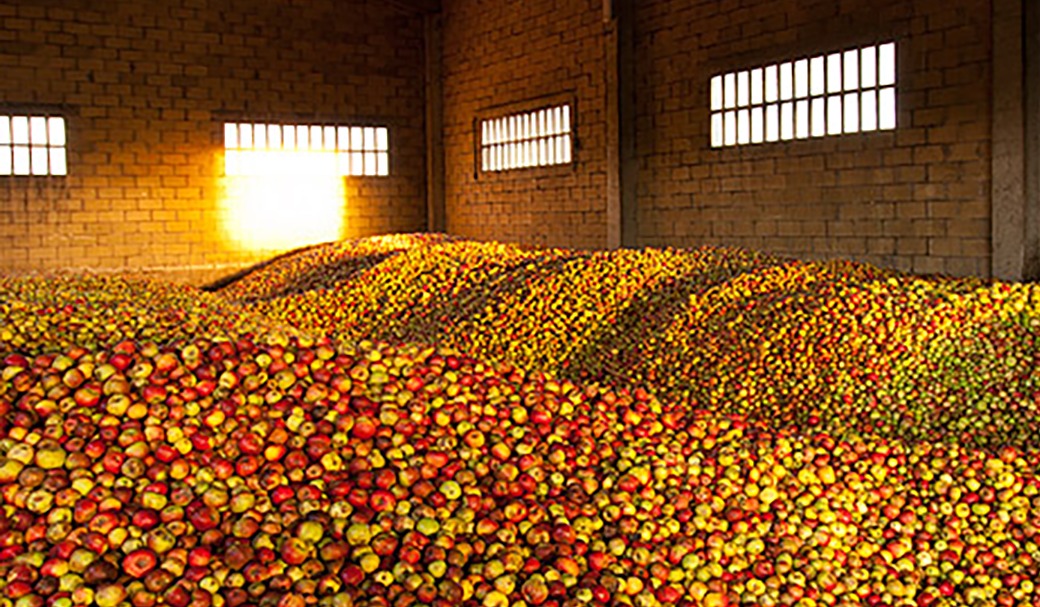 ¡Del 11 al 15 de octubre, 𝐕𝐢𝐥𝐥𝐚𝐯𝐢𝐜𝐢𝐨𝐬𝐚 celebra su amor por la manzana y la sidra! 🍏🍎 Disfruta de exposiciones, catas y talleres en este evento imperdible. ¡Únete a la fiesta asturiana! 🌳
👉 eu1.hubs.ly/H05FF-S0