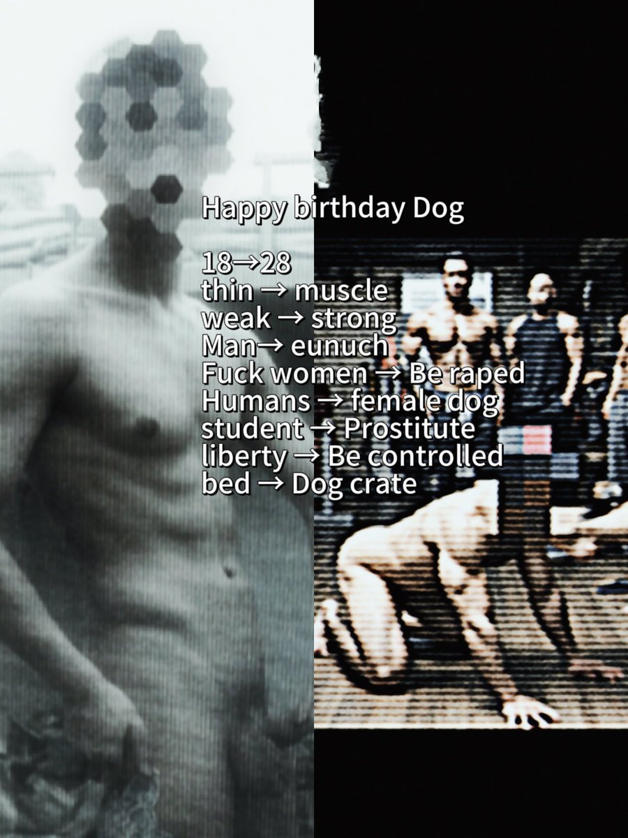 Real castrated dog tweet media