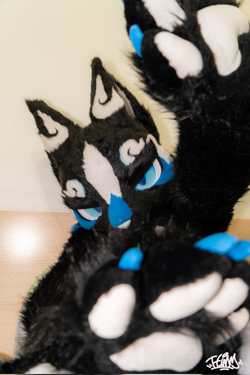 星效-Vulptex tweet media