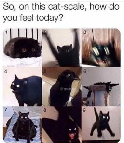 On this scale what do you feel today