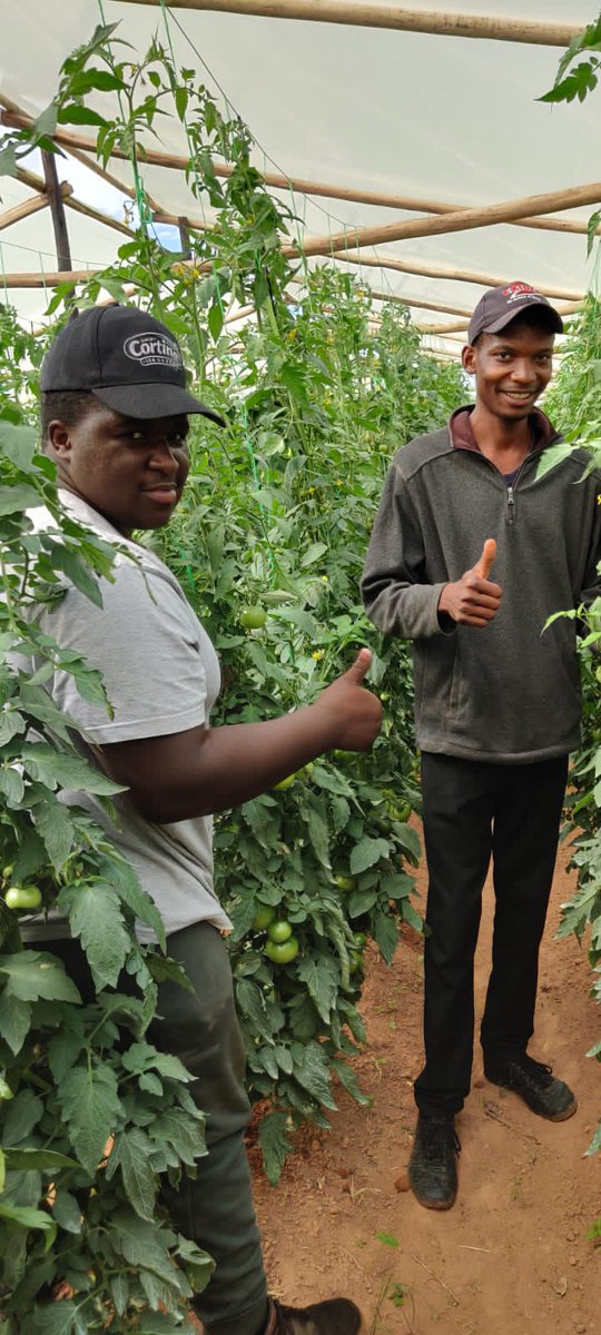 God gave us land as African to utilize to full potential and create generational wealthy from those lands and there is no one African who can honestly say they do not have land. 

The truth is that they have land that they do not want. 
wa.me/p/676719228329…