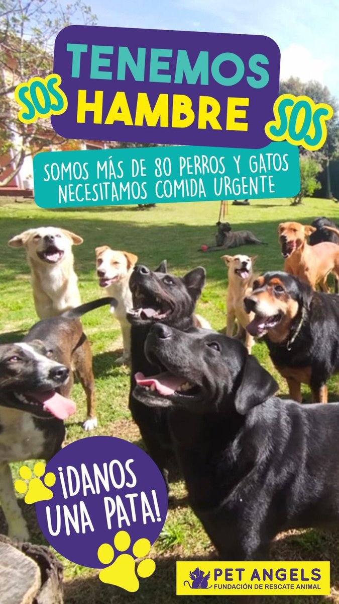 PetAngelsCol 🐱🐶 tweet media