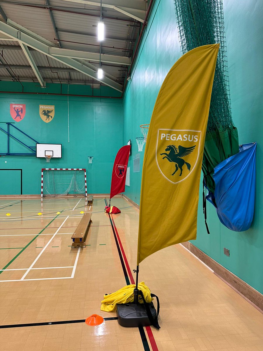 NovaHreodPE's tweet photo. Pegasus are Benchball House Sport winners! Well done Pegasus #NovaPE #Benchball #HouseSport #MissParsonsisalegend https://t.co/0rnh6ltcBW