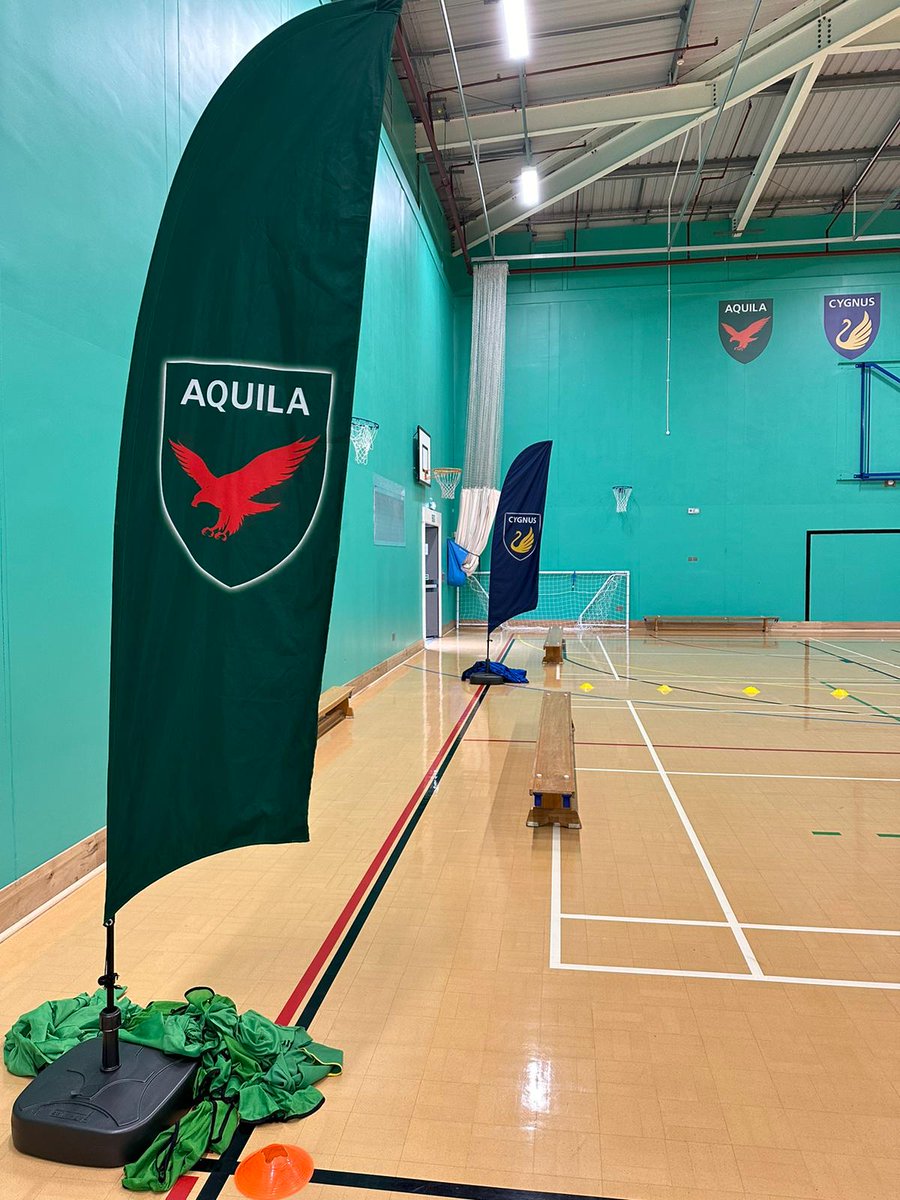NovaHreodPE's tweet photo. Pegasus are Benchball House Sport winners! Well done Pegasus #NovaPE #Benchball #HouseSport #MissParsonsisalegend https://t.co/0rnh6ltcBW