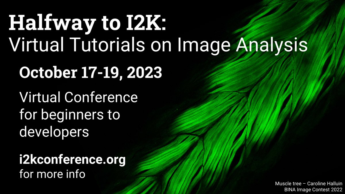 Halfway to I2K starts next week 🎉

Workshops will happen in various time zones on Oct 17, 18 and 19! 

👀See the calendar & details: i2kconference.org/workshops

👩‍💻Register today and build your own schedule of workshops to attend!
tinyurl.com/I2K-2023-Zoom

#ImageAnalysis #OpenSource