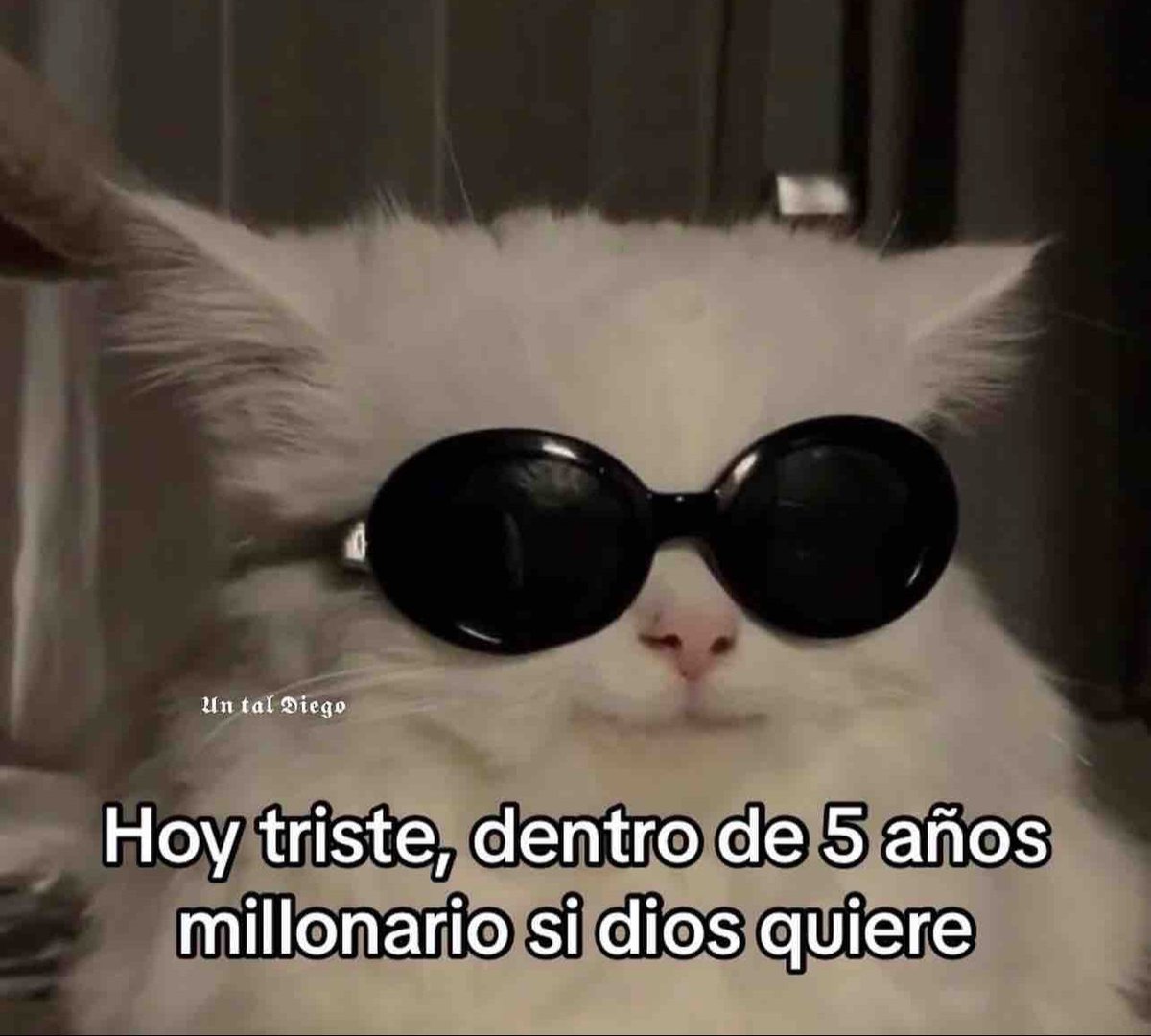 Guarromantico_'s tweet photo. https://t.co/AI9GNIehdO