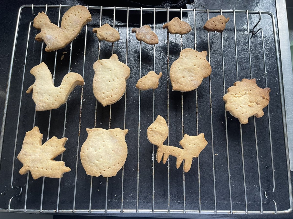 JeanneService's tweet photo. Some of our Tiny Team made autumn shortbread today and used knives to decorate them to make them even more tasty!
#numeracy
#stem
Working together using gross &amp; fine motor skills! @ScotChildmind .
One proud childminder today ❤️🍁🦉🐿️🍫 https://t.co/gloWNWBUOb