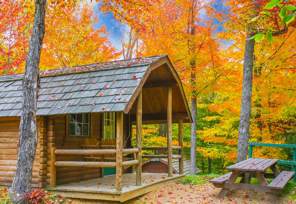 ExpOldForge's tweet photo. "Fall-ing in love" with #OldForgeNY. πππ
#ExperienceOldForge #ADKFALL
@OldForgeCamping https://t.co/vx7dBdj4Wr