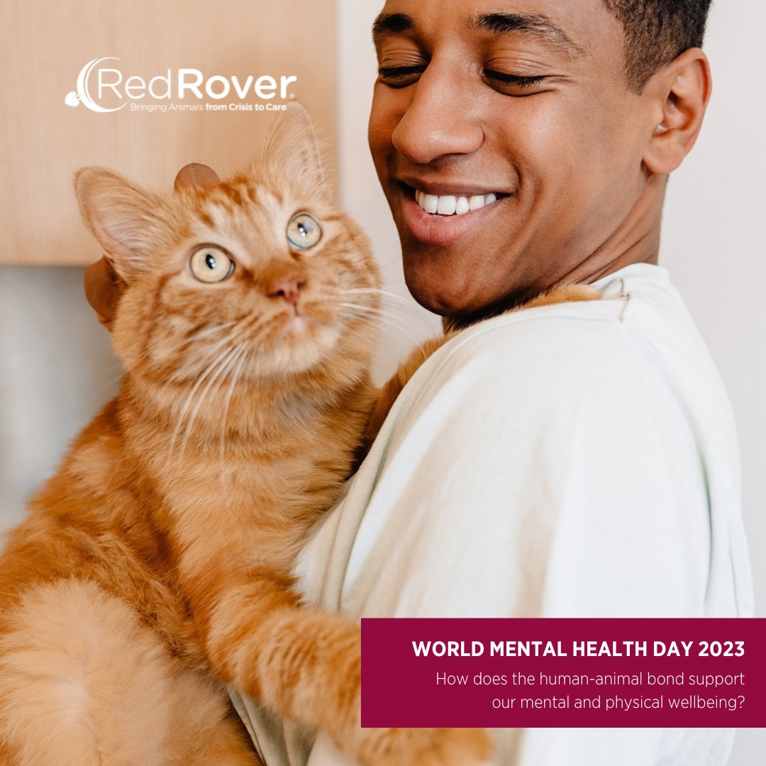 RedRoverOrg's tweet photo. Consider The Pet Effect: scientific evidence supports "how pets [positively affect] health; depression; well-being; child health and development; and healthy aging."

Credit to our friends at @HABRITweets, learn more here: https://t.co/XxlRdtMwcC https://t.co/fUWhM1eZ5B
