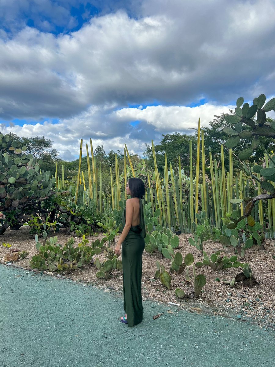 sarahfgza's tweet photo. Increíble finde 🌵 https://t.co/JjHrvUMpH6