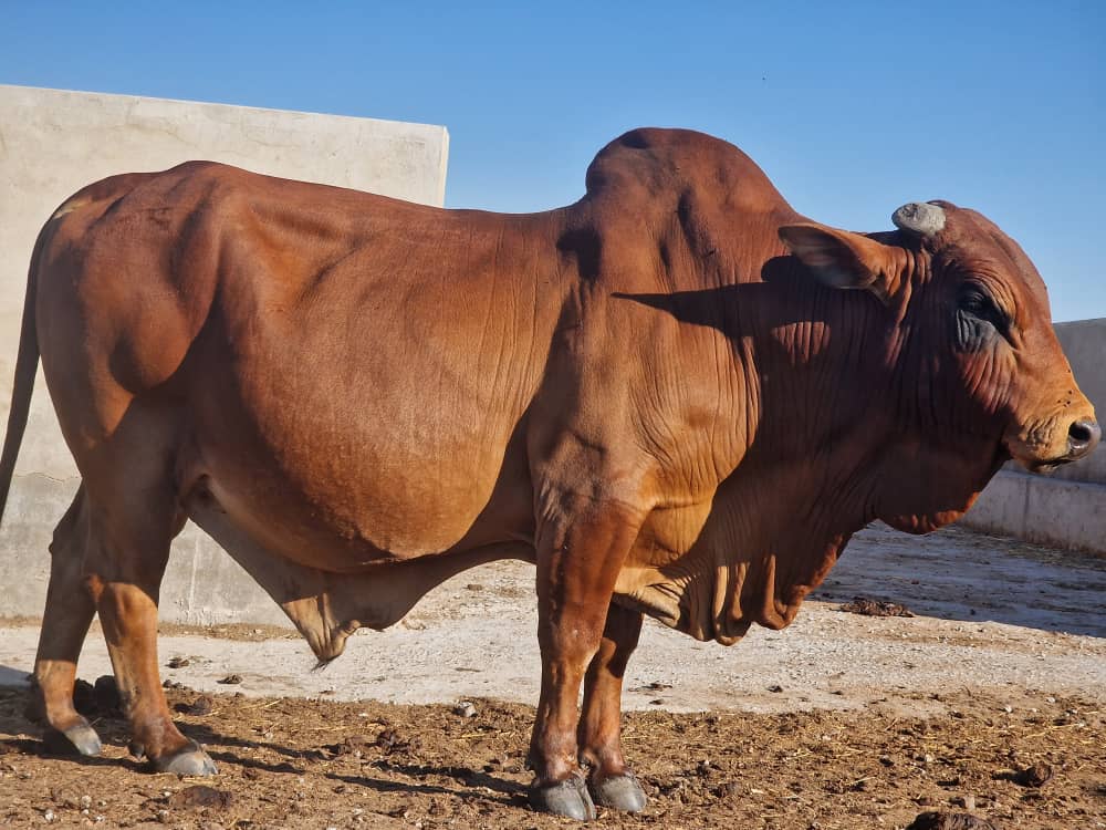 Don't stop learning and innovation

Start selling before harvesting time

Eliminate middlemen if possible

Invest in preservation equipment before the problem strikes

Farm what only you have control over