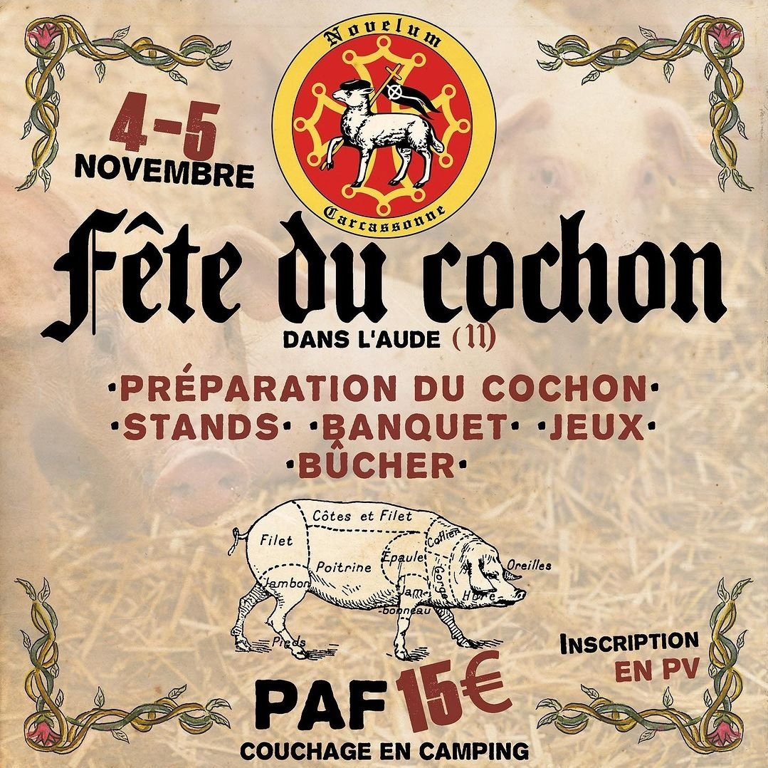 Novelum Carcassonne (@novelum_carca) on Twitter photo 