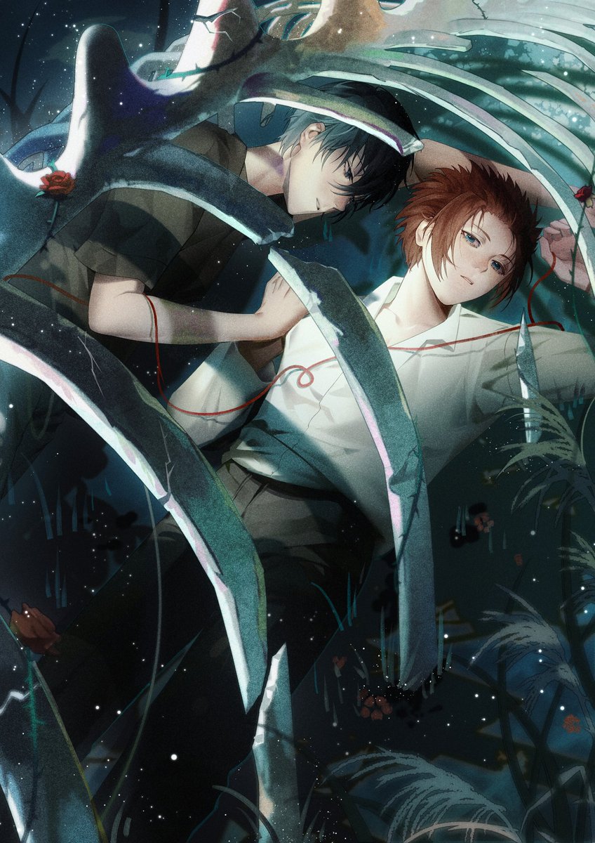 二晓晓 tweet media