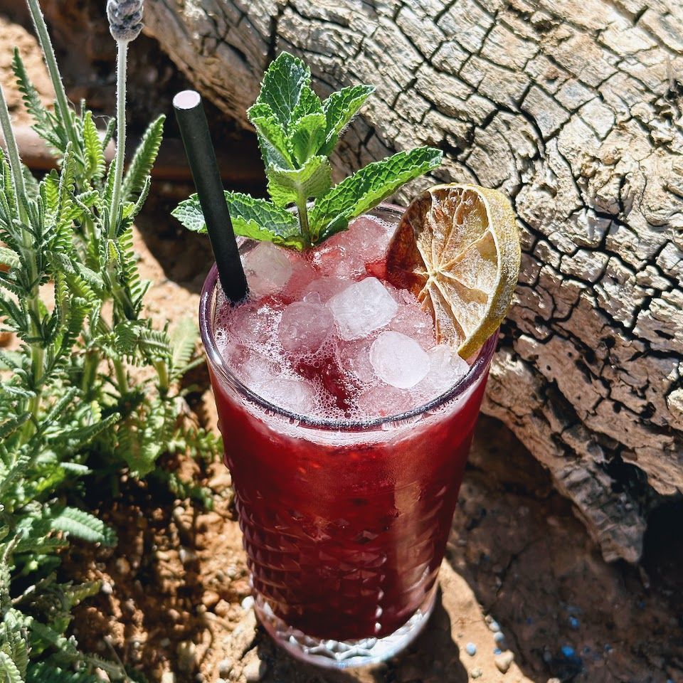 tapasibiza's tweet photo. Berry Bosque, one of our top-selling House Cocktails from 2023
#tapasibiza #tapas #ibiza #lafincaescondida #housecocktails #tapasbar #creativecocktails #cocktailhour #tapasrestaurant #ibizarestaurant #foodies #madewithlove #teamtapas #octoberinibiza #makingmemories #since2012 https://t.co/OOFjcu4f5g