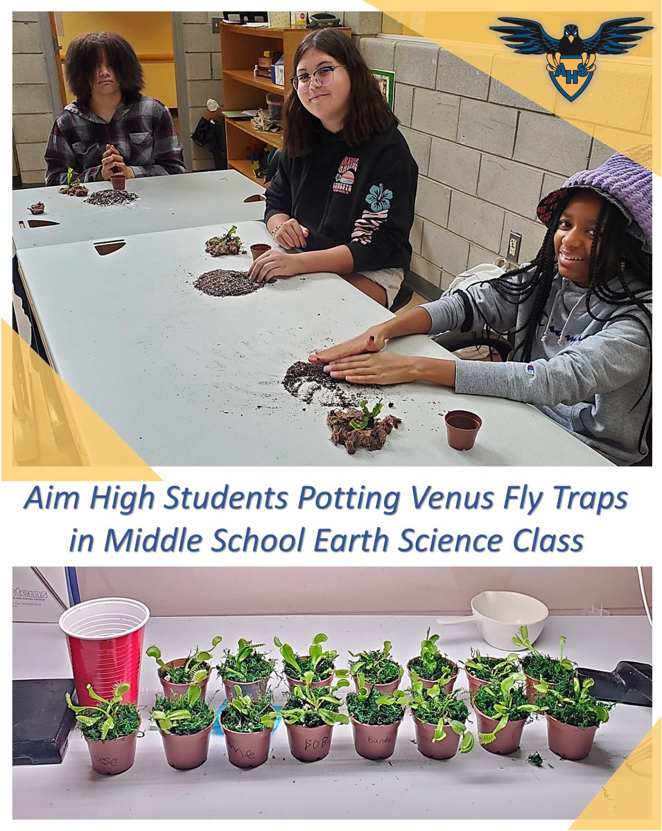 Our middle school science students got into the action, too. Here they are doing some plant work of their own!🌱

#AimHighschool #AimHighExperience #earthscience #handsonlearningfun