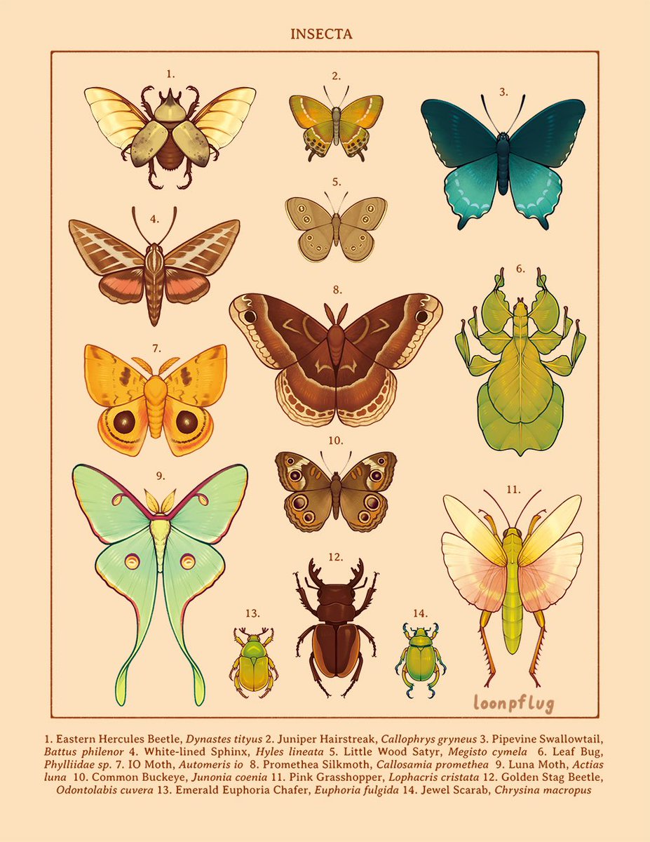 loon 🌱 tweet media