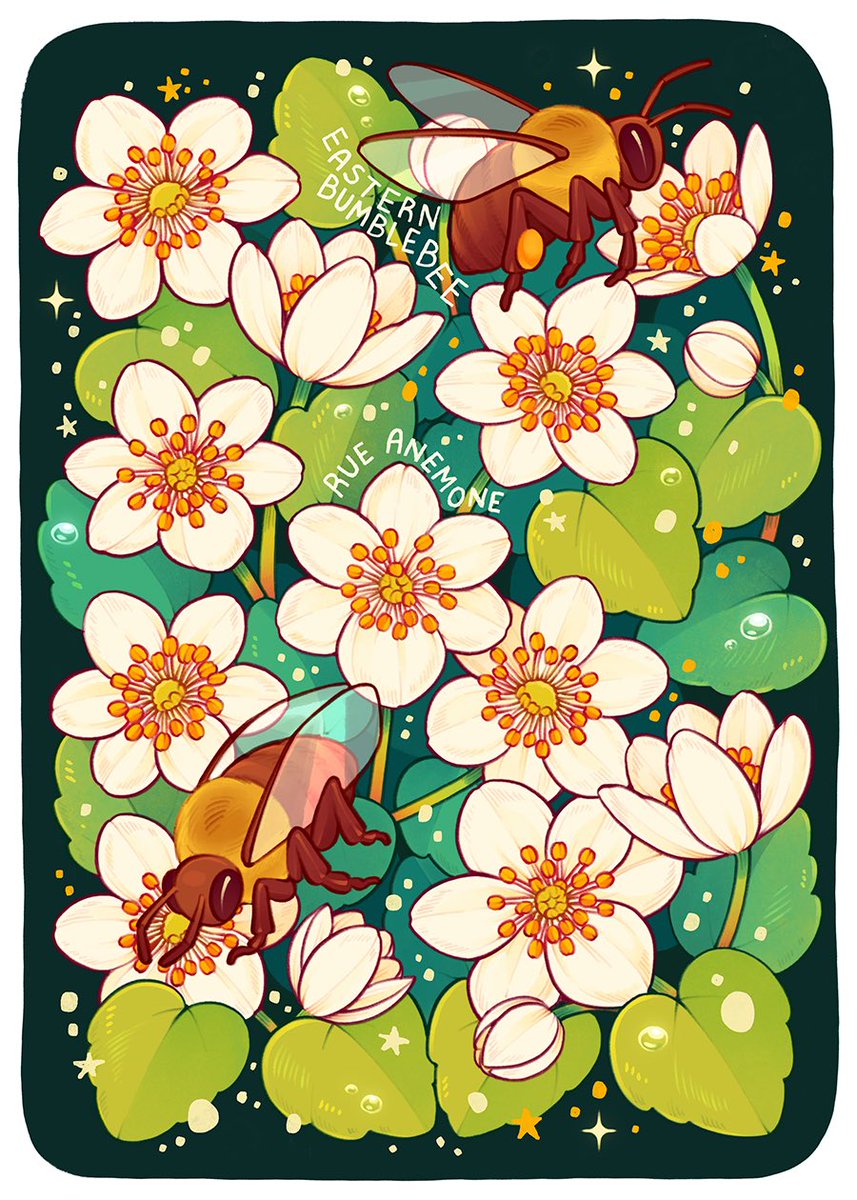 loon 🌱 tweet media