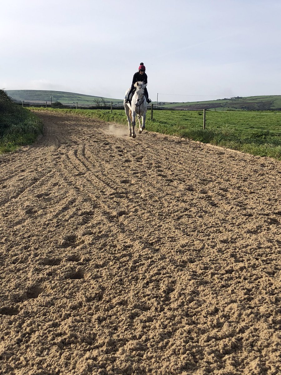 Ffos Las Racecourse tweet media
