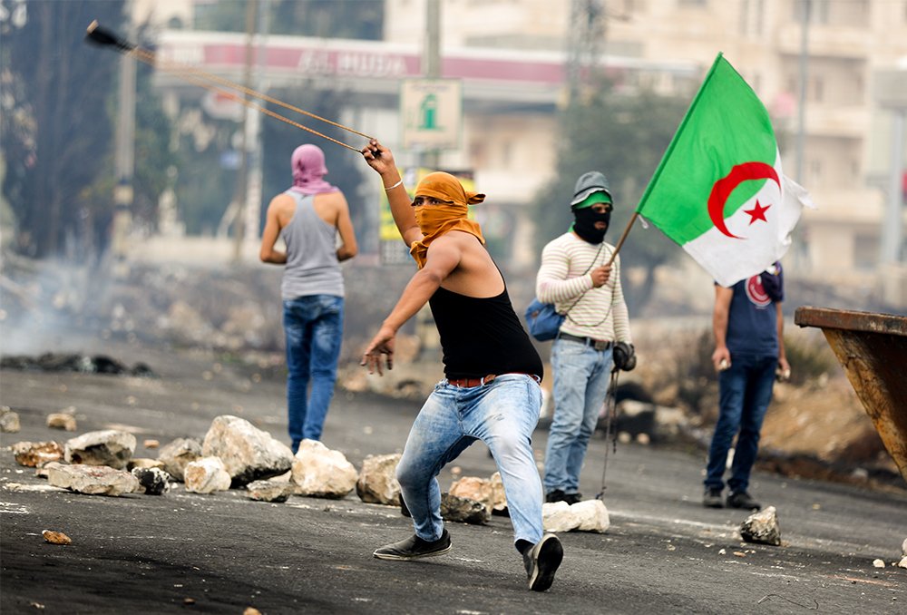 🇩🇿 1.2.3 viva l'algerie tweet media