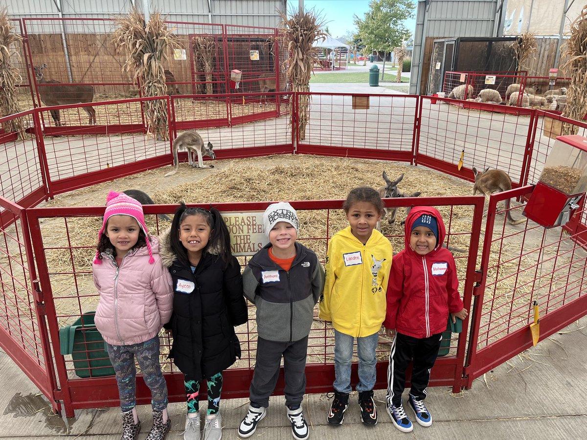 The kindergarten classes are enjoying this chilly fall weather at the pumpkin farm!
#HappyFall