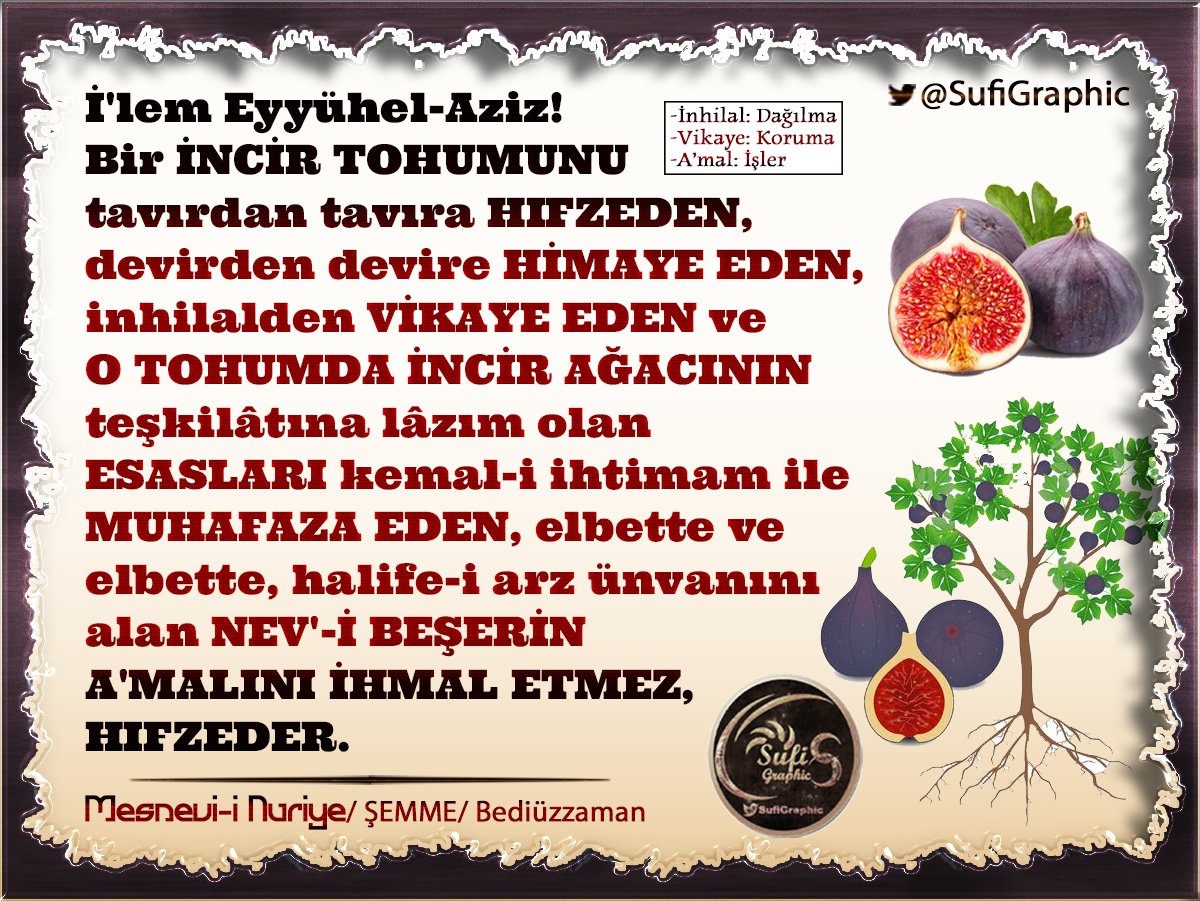 SufiGraphic's tweet image. #Hıfziyet #Hıfz #Hafiz #Tohum #İncir #Genetik #Kalıtım #Marifetullah #Tefekkür #Allah #Rububiyet #Müslüman #Sufi #Tasavvuf #RisaleiNur #Bediüzzaman #MesneviiNuriye #Şemme HIFZİYET