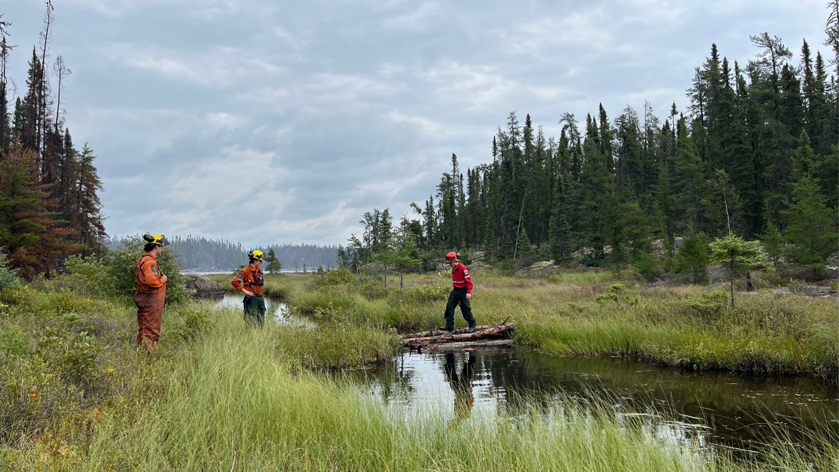 Ontario Forest Fires tweet media