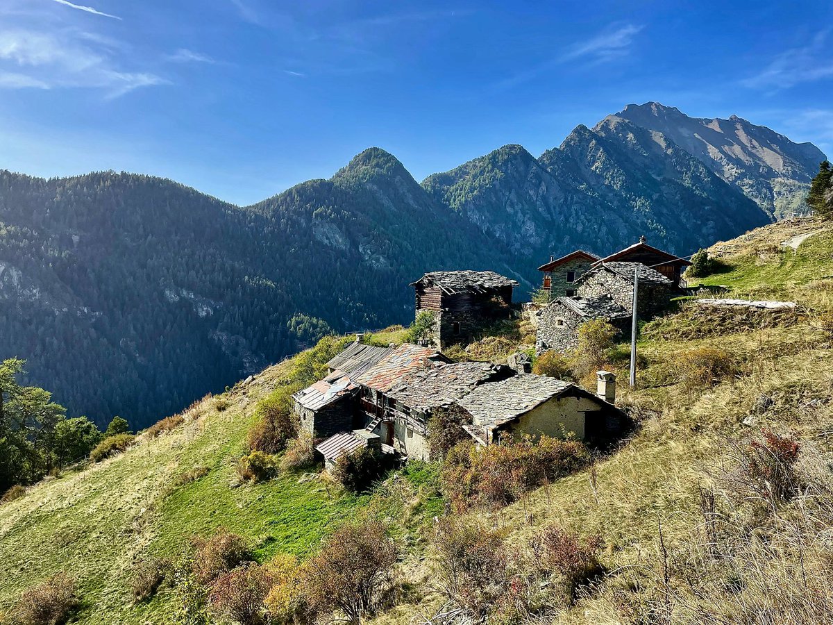 MaxMart4810's tweet photo. Salomon dessous #iocorroqui #trailrunning #brusson #valdayas #valledaosta #monterosarando #inaltoorg #cisonostato https://t.co/kaKtuj5tFn