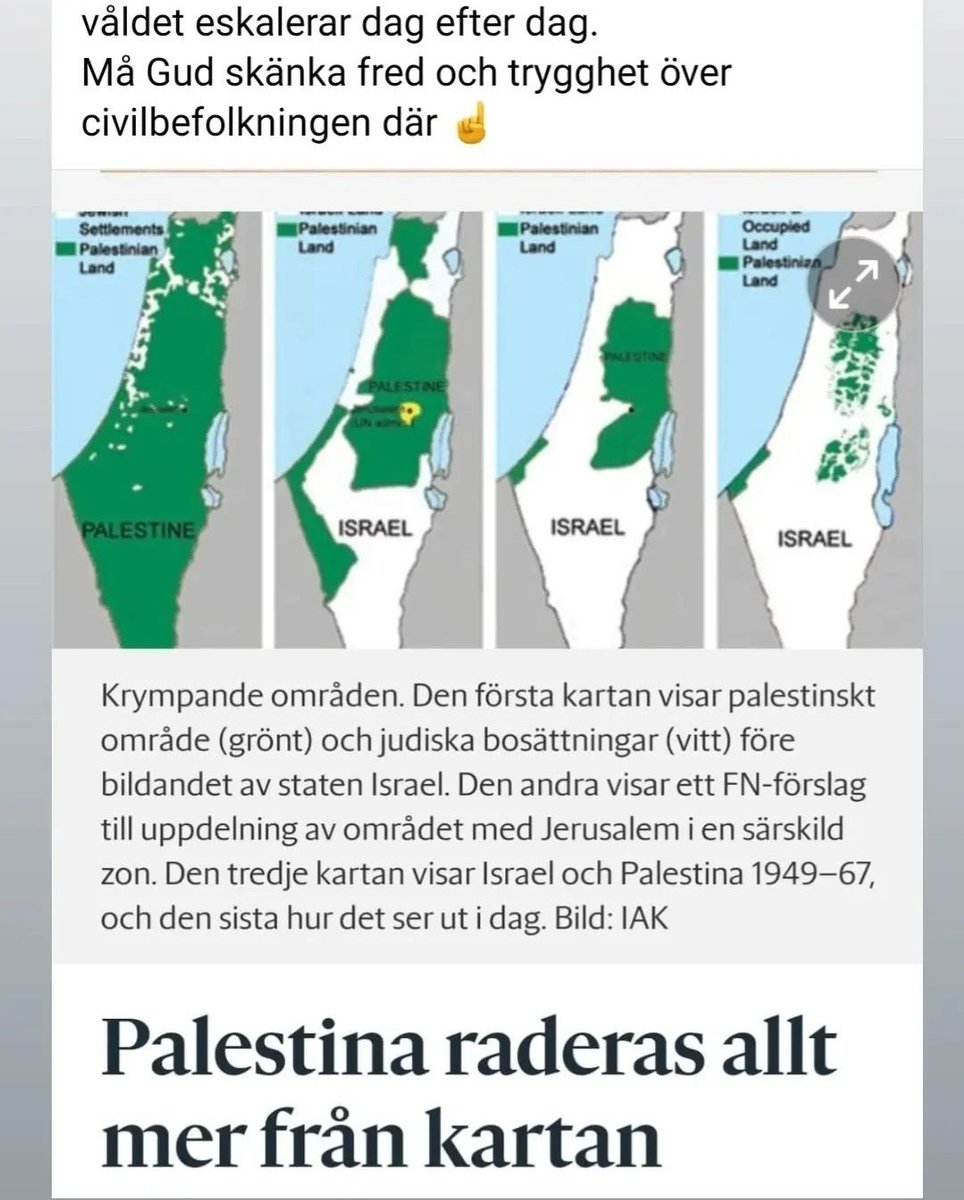 Palestine 🇵🇸 tweet media