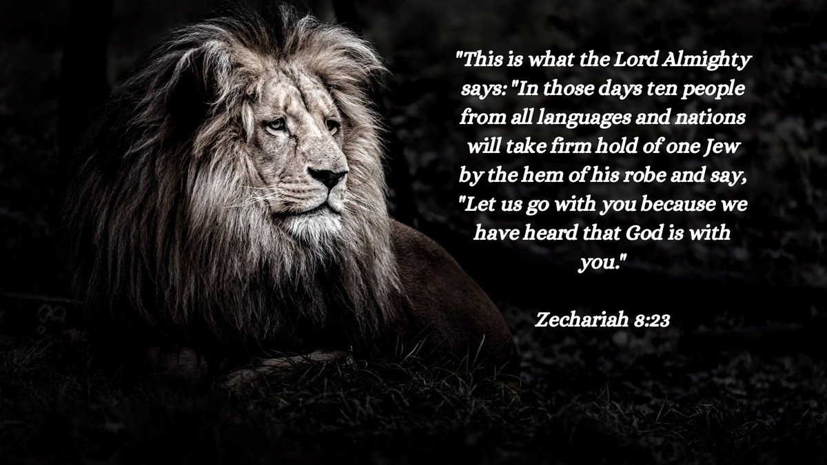 potentialawake's tweet photo. https://t.co/DtaJw7HpgU
This is what The Lord Almighty Says
 #Israel #UnityInFaith #Zechariah823 https://t.co/F8dwemiuRN