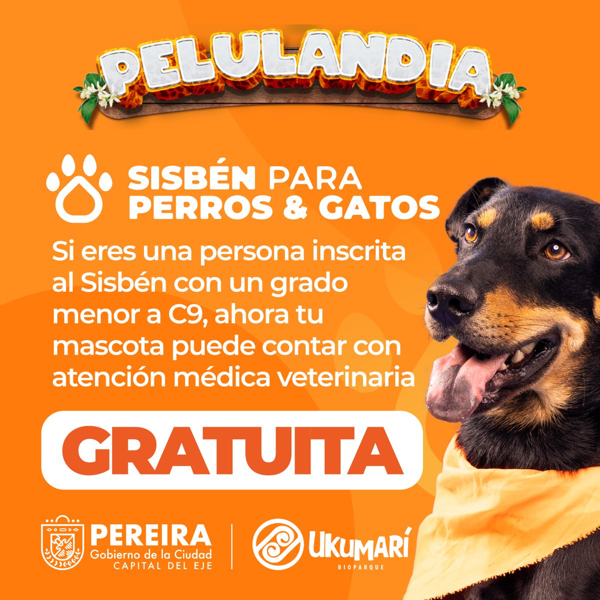 CarlosMayaPei's tweet photo. #Pereira ya tiene un Hospital Público para Animales: Pelulandia. Un moderno centro veterinario, que junto al Sisbén para perros y gatos, erigen a la ciudad como modelo nacional de atención de mascotas y protección animal. #MasBienestar #MasVida #MasPeluditosSanos @Alcaldiapereira https://t.co/NYXyJtqU7F