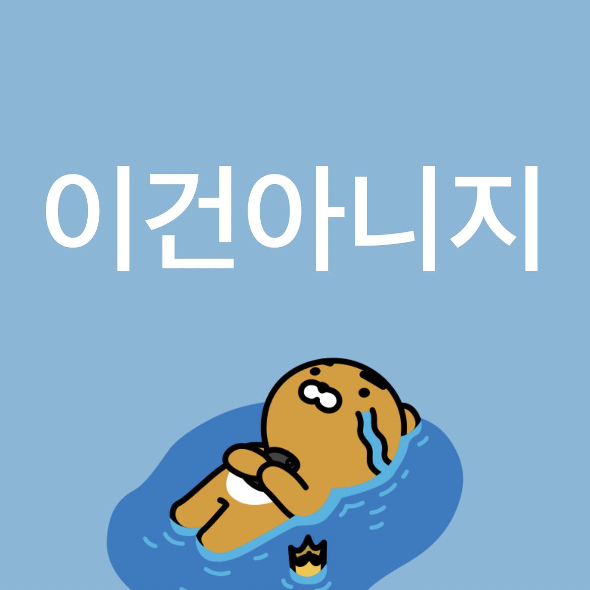 먕 tweet media
