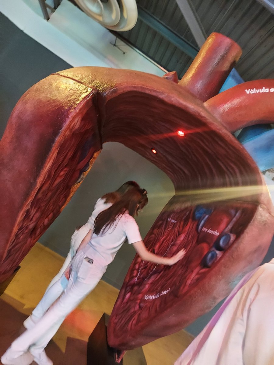 SociologistaNo1's tweet photo. Museando 🧠👀🔎📚 con el 1B😎 de medicina UX Mexicali♡ en @iicmuseouabc https://t.co/1gWgKBUJYJ