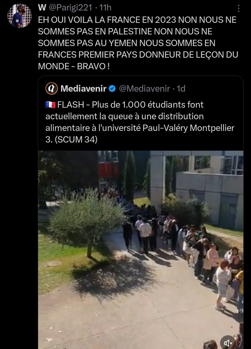 💤Miolinni🪼🌿 tweet media