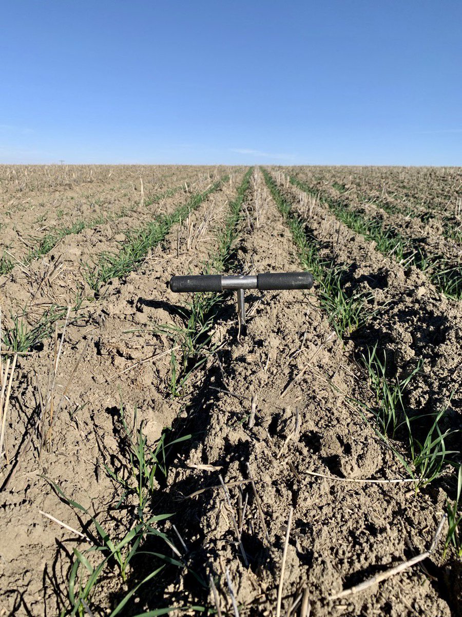 406 Agronomy tweet media