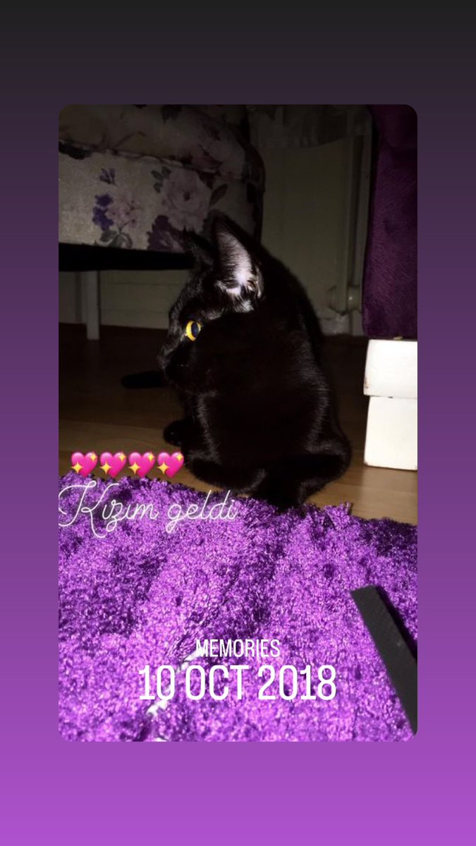 Bugümün şerefine 😸