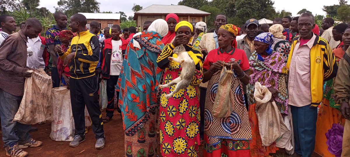 KayumbaLaurent's tweet photo. #Burundi kuri uno wakabiri igenekerezo rya 10-10-2023, komine MUYINGA yatanze inkwavu ku miryango 350 y'amikoro make muntumbero yogushigikira icipfizo c'umukuru w'igihugu. Ico gikorwa catewe iteka na Buramatari w'intara ya @MuyingaProvince. @MininterInfosBi  @KwaNtare https://t.co/nQugQXcamE