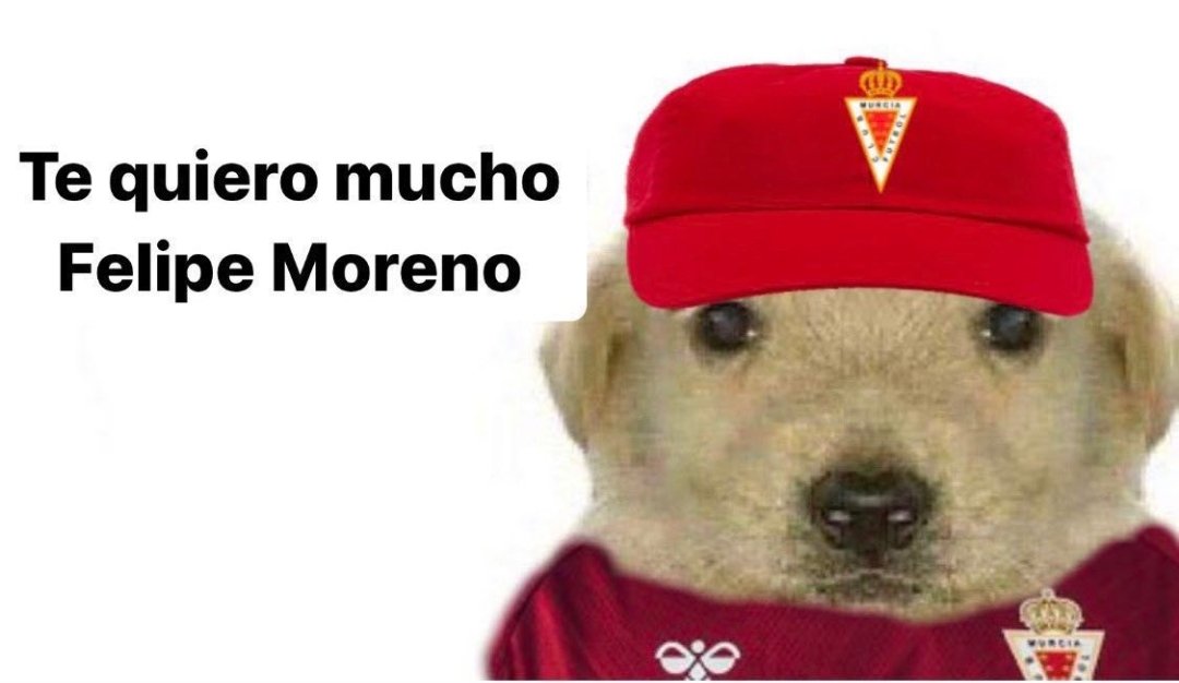 AlejandroMC001's tweet photo. #yoconfelipe https://t.co/VeOK4K2aaG