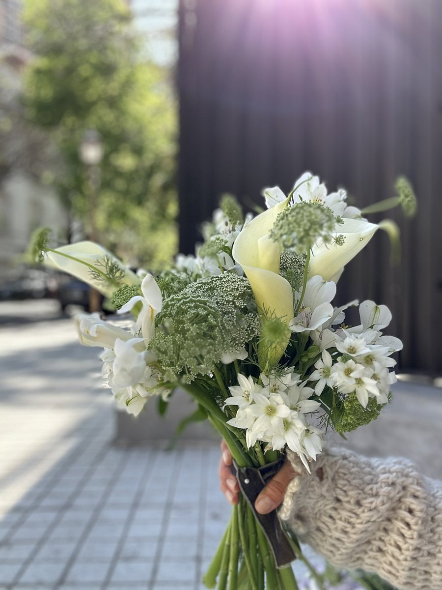 EntrefloresSi's tweet photo. 👰🏻El Ramo de Pili 👰🏻… Flores Blancas para su Ceremonia Religiosa ✨!…
#entrefloressi #entrefloressibride #Flowers https://t.co/WYxHggDFcI