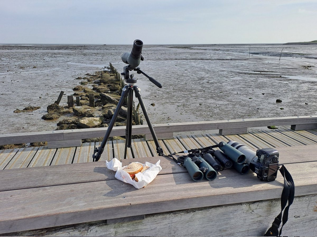 Wow wat een dag! Lunchen op het wad; omgeven door allerlei steltlopers. Mooie mensen mogen ontmoeten. De hele dag eb, is de hele dag etende vogels.
Zelf zien? Morgen 10 uur Haventje van Sil 😉
<a href="/natuurdigitaal/">Marc Plomp</a> <a href="/texelsecourant/">Texelse Courant</a> <a href="/texelphoto/">Marcel Winter</a> <a href="/VVVTexel/">VVV Texel</a>