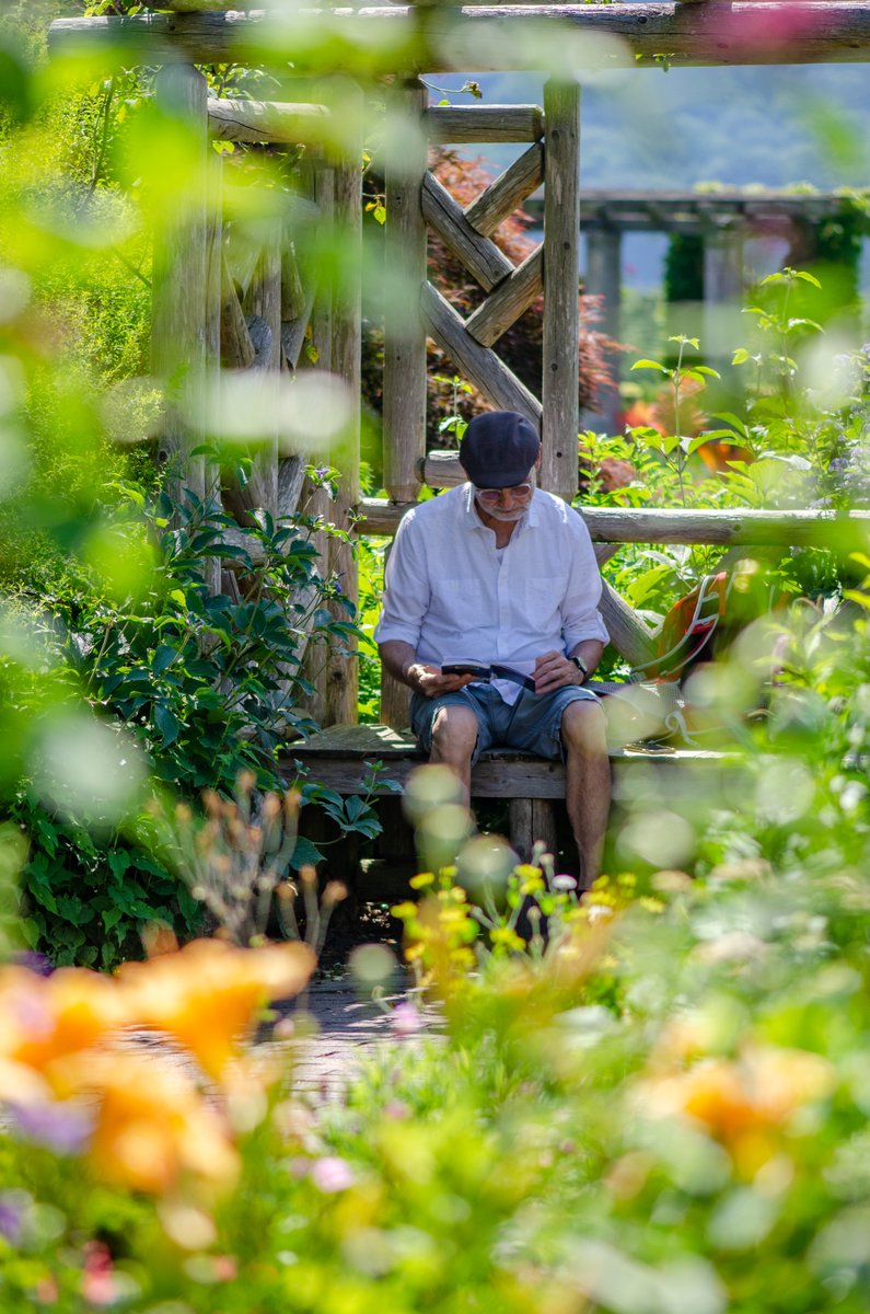 Wave Hill tweet media