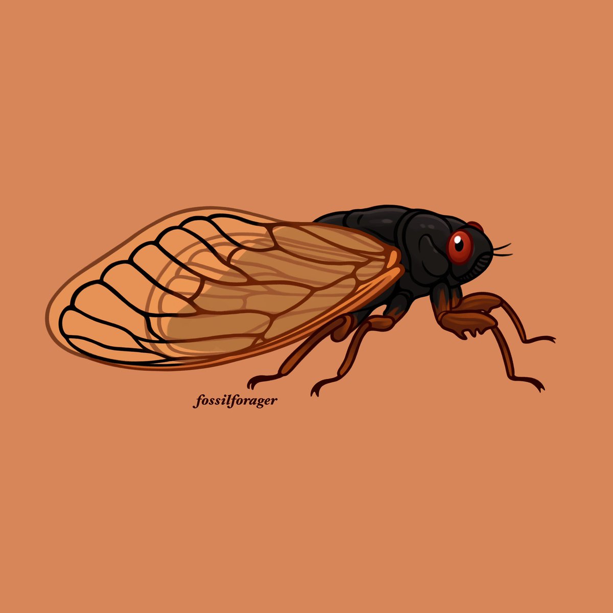 「Invertober Day 10 - Periodical Cicada  #」|Nicole 🌱のイラスト