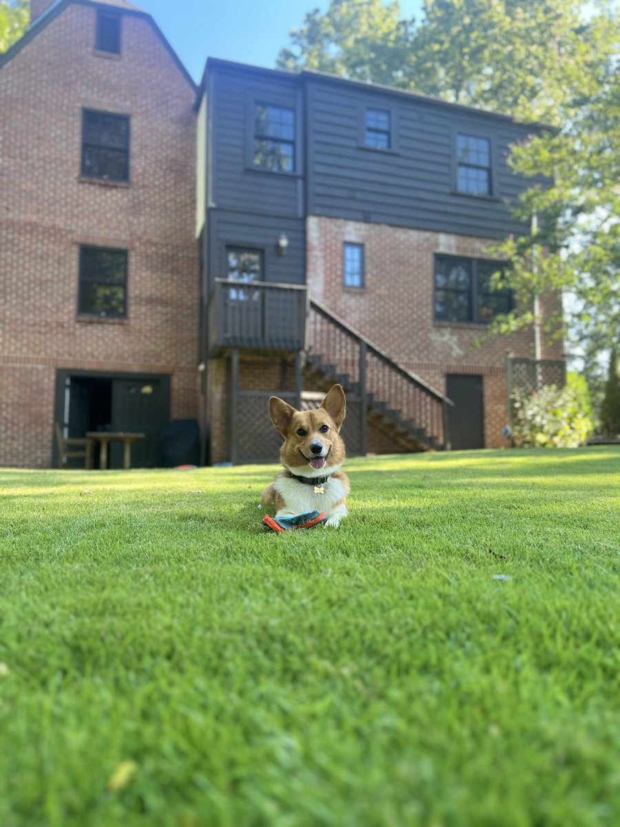 Travis Jones tweet media