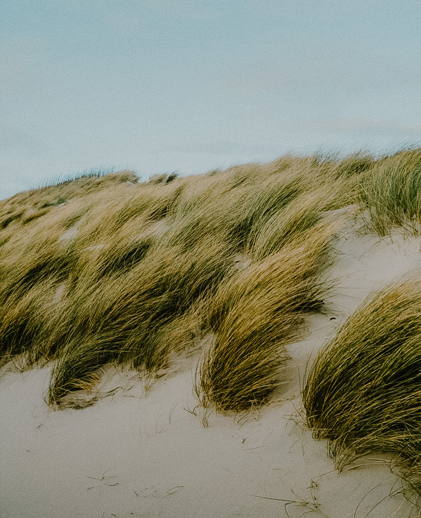 JeroenV78's tweet photo. I'm Jeroen, a photographer and social worker from the Netherlands. Here's some of my work #PortfolioDay https://t.co/ymie2UURfS