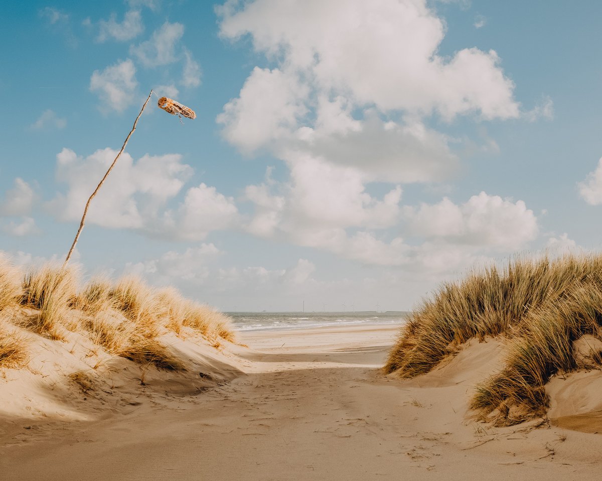JeroenV78's tweet photo. I'm Jeroen, a photographer and social worker from the Netherlands. Here's some of my work #PortfolioDay https://t.co/ymie2UURfS